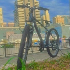 マンウンテンバイク自転車激安