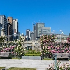 5/13(土)中之島バラ園🌹でウォーキング👟🏃‍♀️🏃