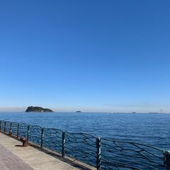 【釣り】5/4に横須賀の海辺つり公園で釣りしましょう！