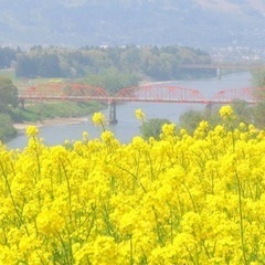 🎤5月3日(水)思いっ切り歌おう🎤