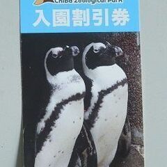 千葉市動物公園割引券（期限：2024年3月31日）