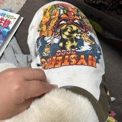 ヒスミニ&カラフル柄　犬用　服