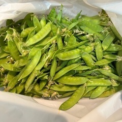 お野菜たち！の画像