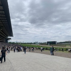 春競馬！G1東京開催　NHKマイル　 - 杉並区