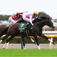 春競馬！G1東京開催　NHKマイル　 - メンバー募集