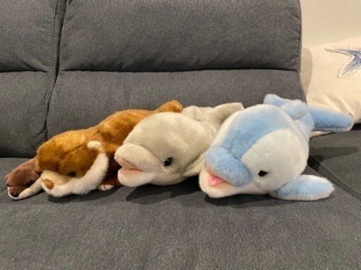 水族館　ぬいぐるみセット　イルカ　カワウソ