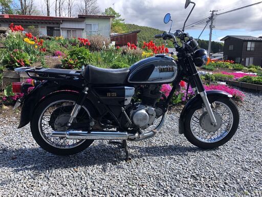 商談中＞最終値引き！旧車マニア必見！ ヤマハ YD125 (ENZO) 大