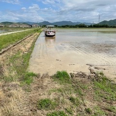 田植えの手伝い！