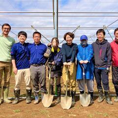【週2日/3h~OK】農園アルバイト｜国内最大規模の青果流通企業の画像