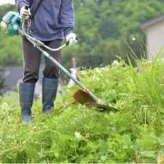 茨城県守谷市周辺　草刈り急募