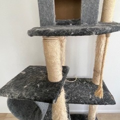 無料　キャットタワー　175cmの画像