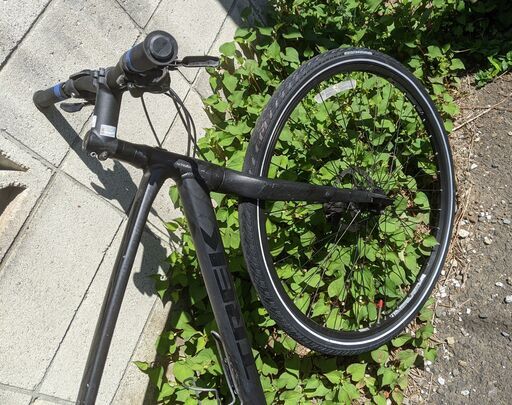 TREK FX3Disc 2020モデル