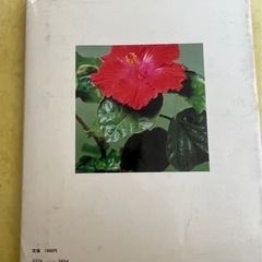 観葉植物と熱帯花木 ガーデンライフ編/誠文堂新光社  の画像