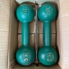 鉄アレイ　3kg×2個