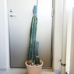商談成立いたしました