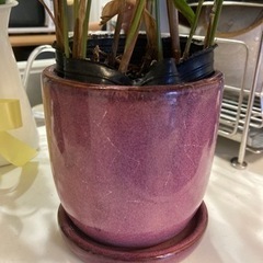植木鉢