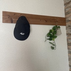 【差し上げます】ウォールフック