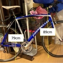 PINARELLO ピナレロTreviso トレビソの画像