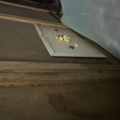 大分県か福岡県で害虫や害獣駆除！草刈り等