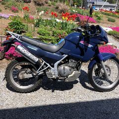 商談中　希少車！カワサキ KLE250アネーロ 名車です