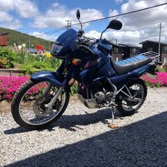 商談中　希少車！カワサキ KLE250アネーロ 名車ですの画像