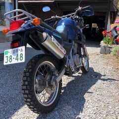商談中　希少車！カワサキ KLE250アネーロ 名車ですの画像