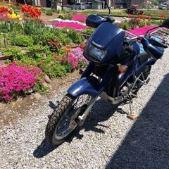 商談中　希少車！カワサキ KLE250アネーロ 名車ですの画像