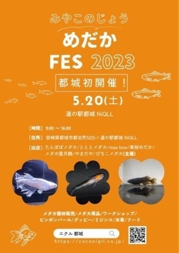 都城めだかフェス‼︎ (ピップ) 都城の地域/お祭りのイベント参加者募集