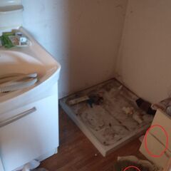 物品番号⑮ 洗濯機（2～3年前に購入。説明書あり）、洗剤など処分品の画像