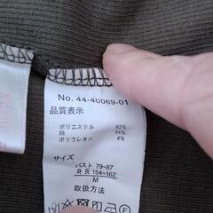 カットソーの画像