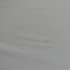 ベビー布団②の画像