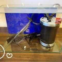 水槽