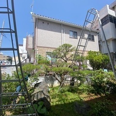 🪴造園、剪定、石組み、庭作り、草刈り、駐車場作り等