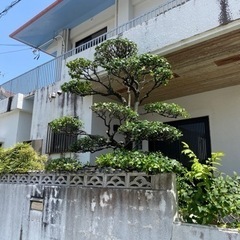 🪴造園、剪定、石組み、庭作り、草刈り、駐車場作り等 - うるま市