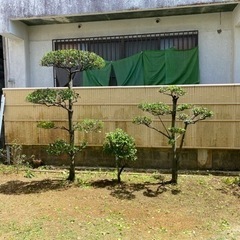 🪴造園、剪定、石組み、庭作り、草刈り、駐車場作り等 - 剪定/造園