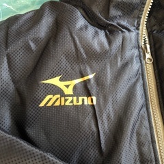 ダウンジャンパーの画像