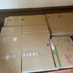 引越し用ダンボール