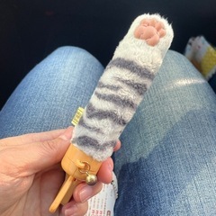 ニャンときまぐれ　ねこにゃんぼう探してます！！
