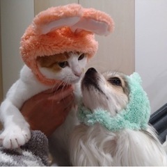 洋裁教室　2名様予約済の画像