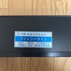 ファンシーライト90の画像