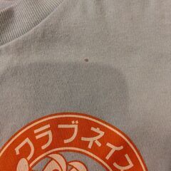 ネイス　neis　Tシャツ　の画像