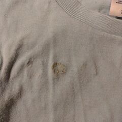 ネイス　neis　Tシャツ　の画像