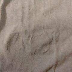 ネイス　neis　Tシャツ　の画像