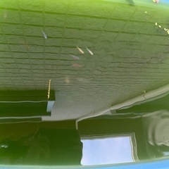 ミックスメダカ　オスメスランダム10〜15匹の画像