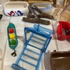 【中古品】インコ 飼育 大量セット ヒーター バードテント おもちゃ ブランコ 給餌器餌入れ 小鳥 野鳥 吊り下げ ぶら下げ 餌入れ 蓋付の画像