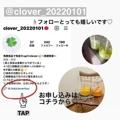 オンライン　キムチ教室の画像