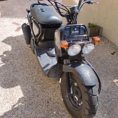 HONDA  ズーマー　絶好調