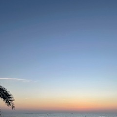 心と体を整えるヒーリング体験会🌿の画像