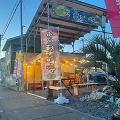 栃木県鹿沼市　昼めし旅　大谷石の石窯で焼くピザ販売！　大谷石鉢植...