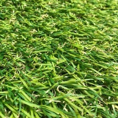 ❗️決定しました。人工芝 ❗️1m×10m 芝丈約3cm 防カビ、ベランダ お庭 ふかふかな質感の画像